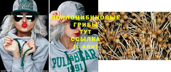 а пвп мука Арсеньев