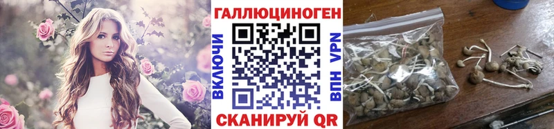 Псилоцибиновые грибы Psilocybe  Каспийск 